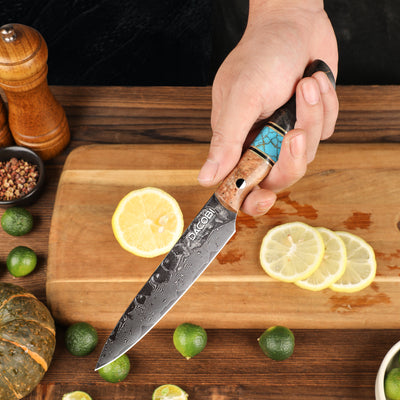 Profesionalni univerzalni nož C70, 67-slojno damast jeklo, 12.8 cm