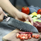 Profesionalni Santoku nož C26, 67-slojno damast jeklo - DACOBI.si
