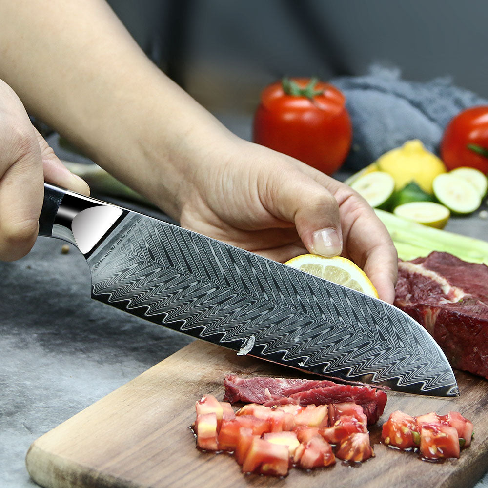 Profesionalni Santoku nož C26, 67-slojno damast jeklo - DACOBI.si