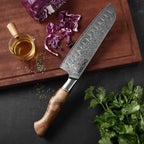 Profesionalni Santoku nož C33, 67-slojno damast jeklo - DACOBI.si